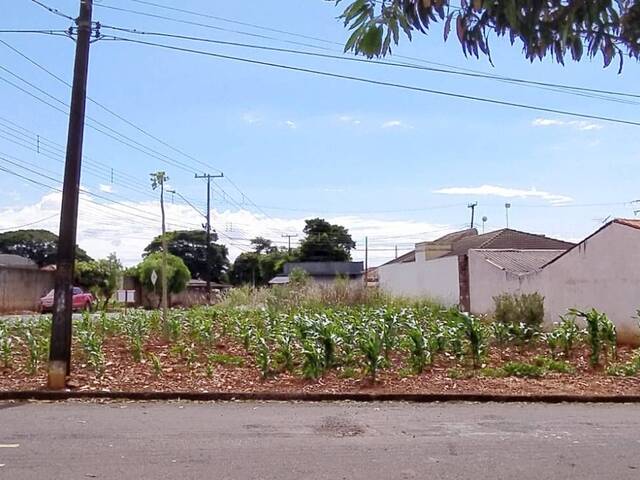 #201 - Terreno para Venda em Arapongas - PR - 2