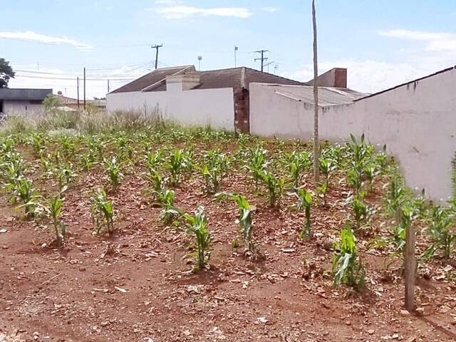 #201 - Terreno para Venda em Arapongas - PR - 3